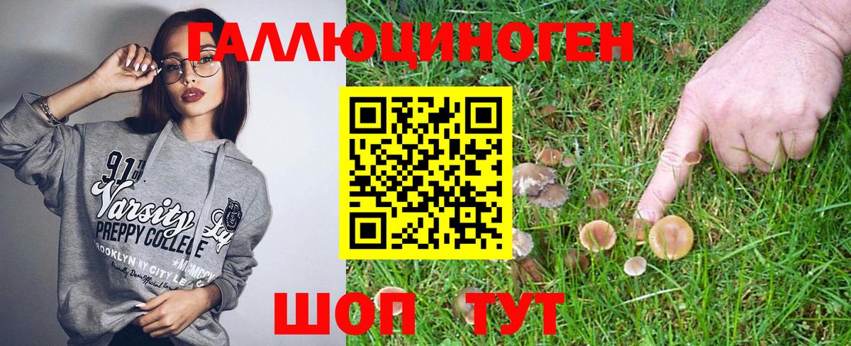 Ипатово  Галлюциногенные грибы Psilocybe  Галлюциногенные грибы Magic Shrooms  Вход с VPN 